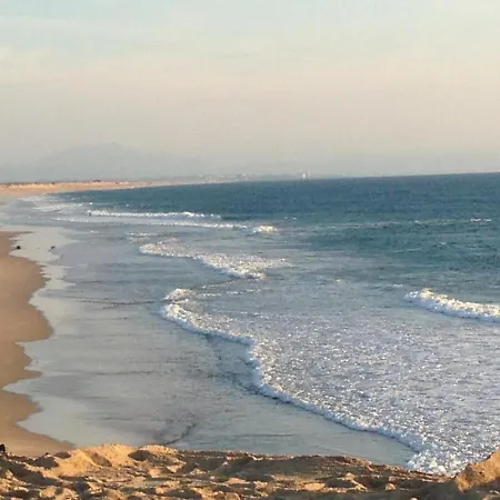 Cap Mango Paradise Capbreton