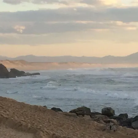 Cap Mango Paradise *