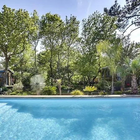 Cap Mango Paradise Capbreton