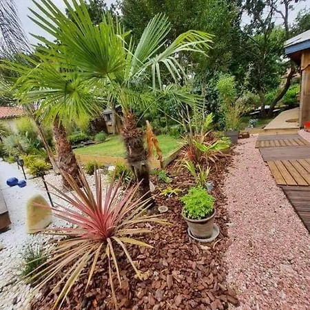 Cap Mango Paradise *