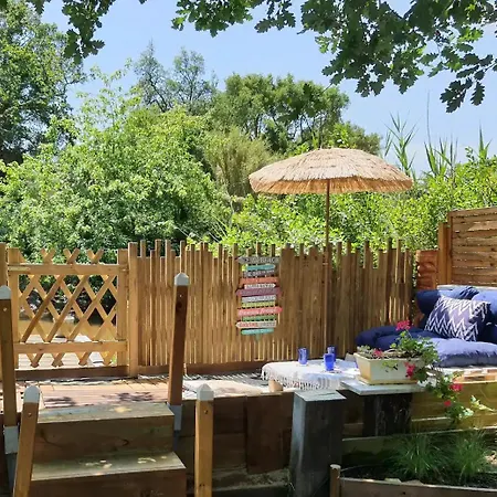 Cap Mango Paradise Capbreton