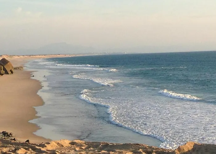 Cap Mango Paradise Capbreton