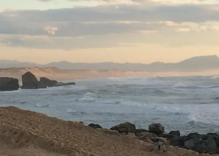 Cap Mango Paradise *