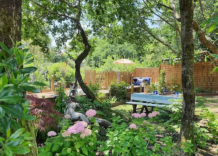 Cap Mango Paradise *