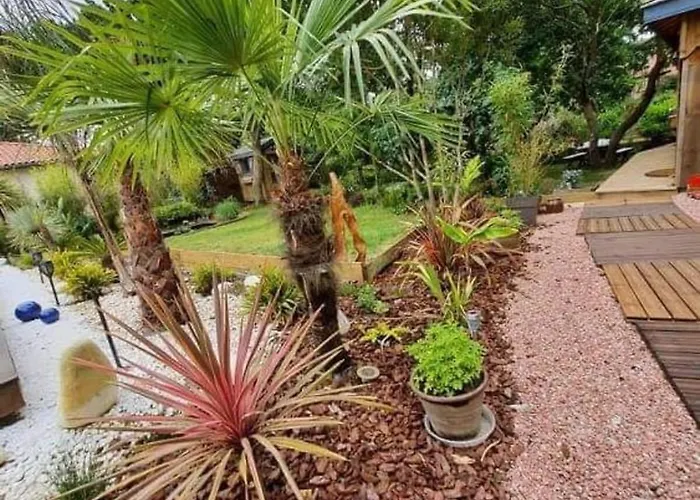 Cap Mango Paradise *