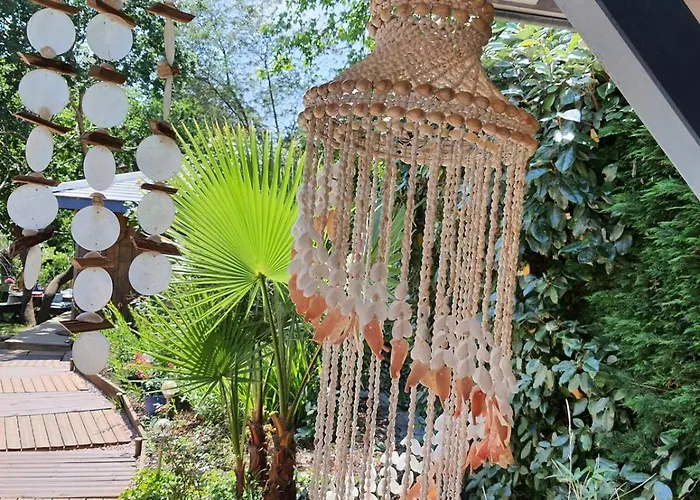 Cap Mango Paradise * Capbreton